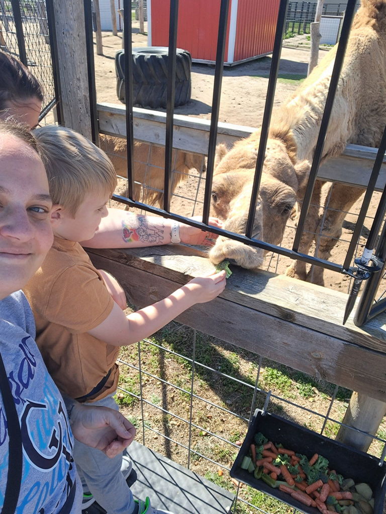 Field Trip