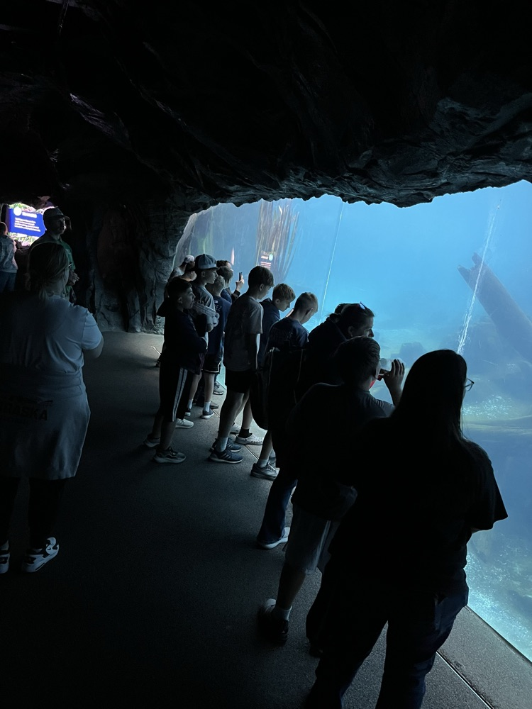 Zoo
