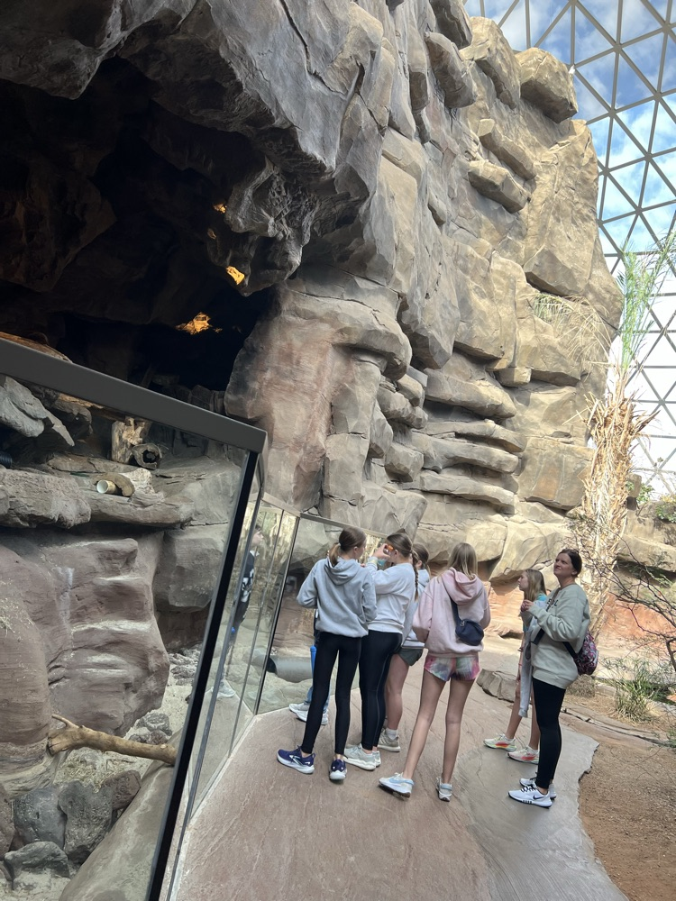 Zoo
