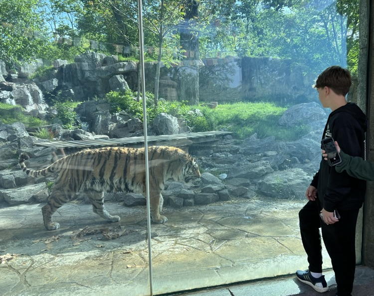 Zoo