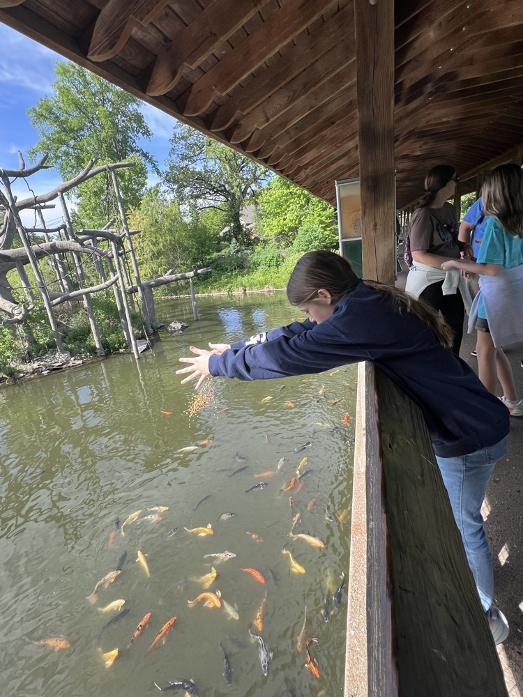 Zoo