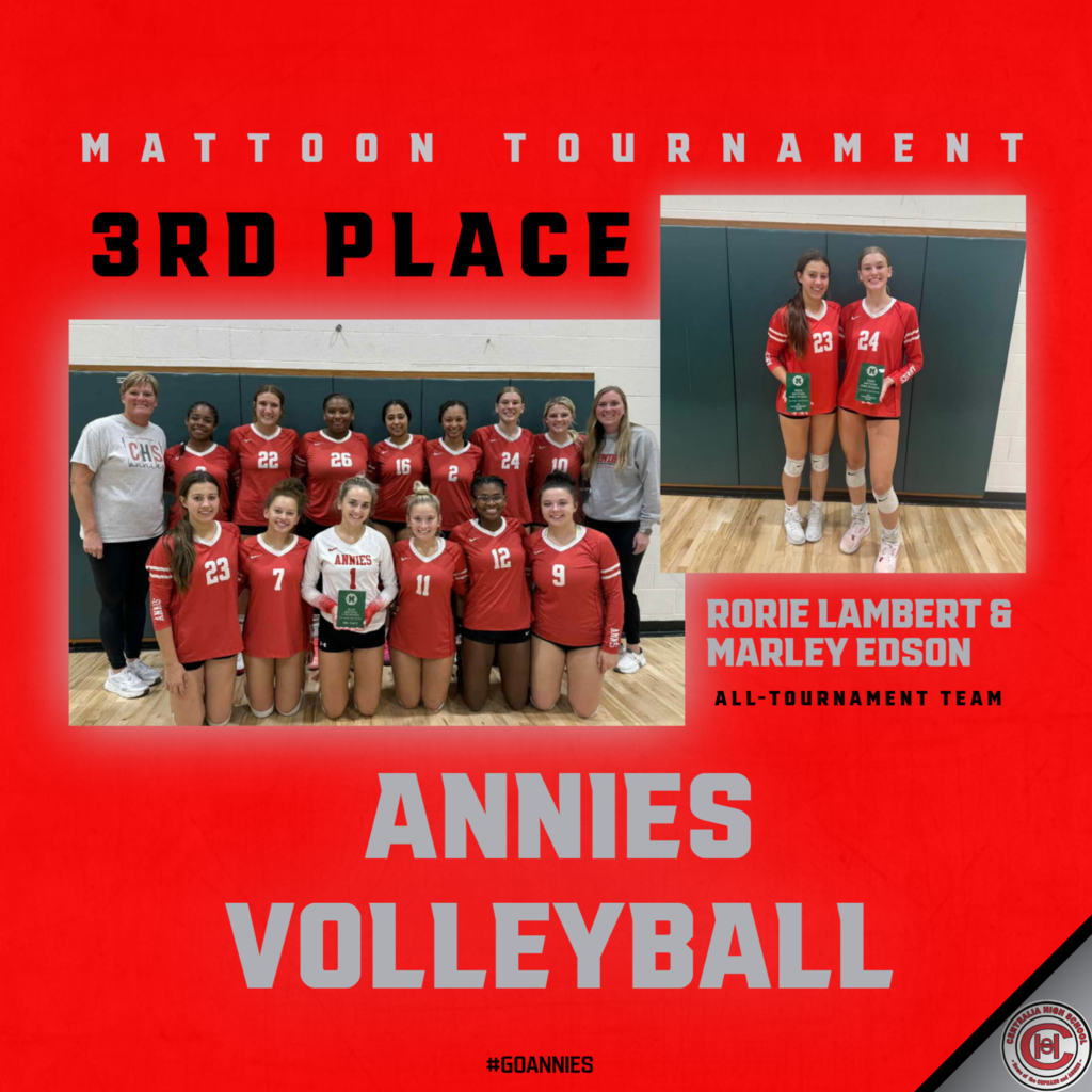 mattoon vball