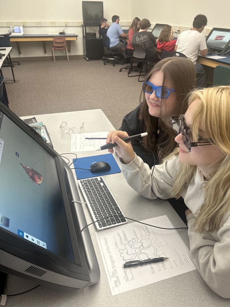 students studying parts of the heart in 3D
