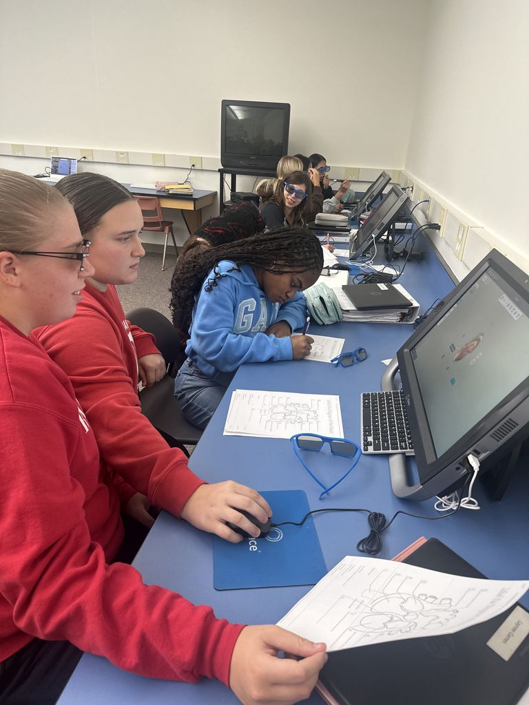students studying parts of the heart in 3D