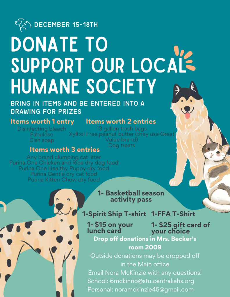 animal shelter flyer