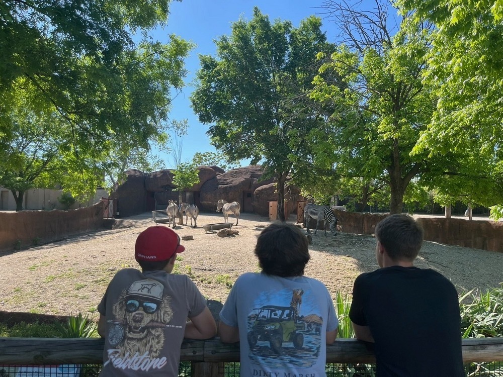 zoo field trip