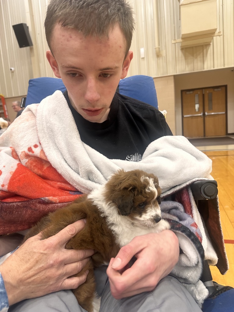 puppy therapy health occ