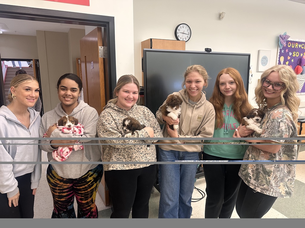 puppy therapy health occ