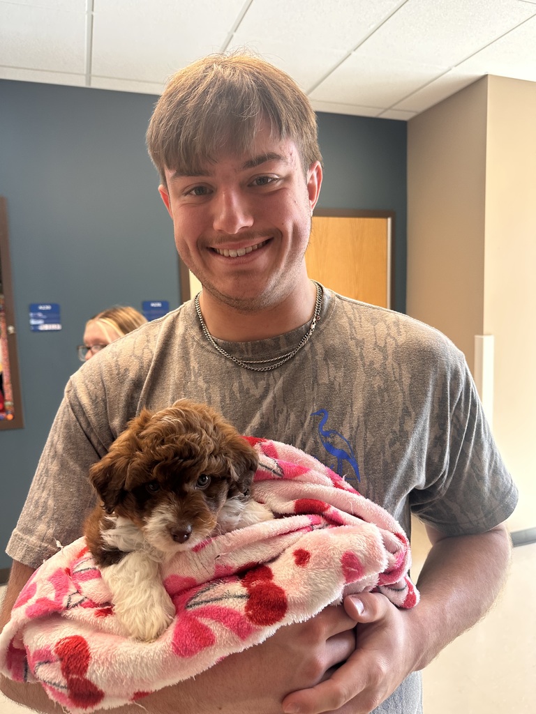 puppy therapy health occ