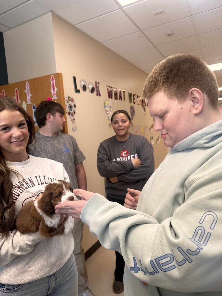 puppy therapy health occ