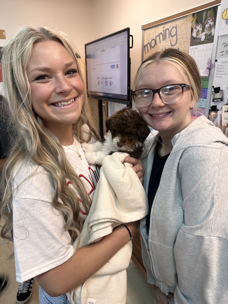 puppy therapy health occ