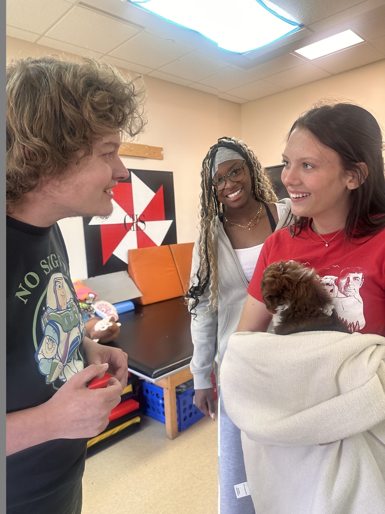 puppy therapy health occ