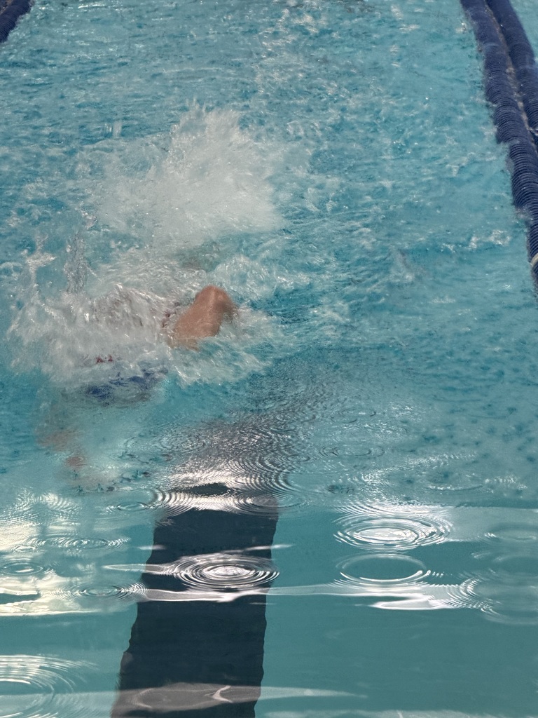 Swimming the 50 freestyle