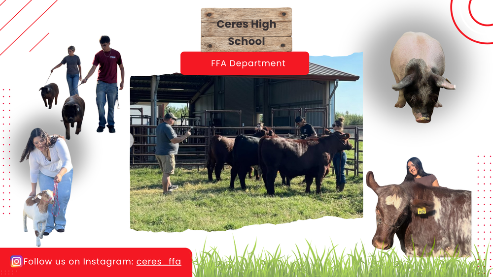 ffa students 