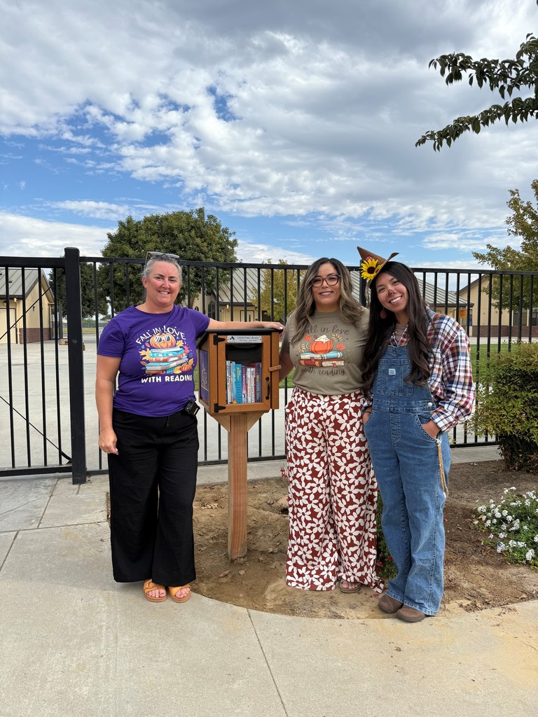 Free Little Library