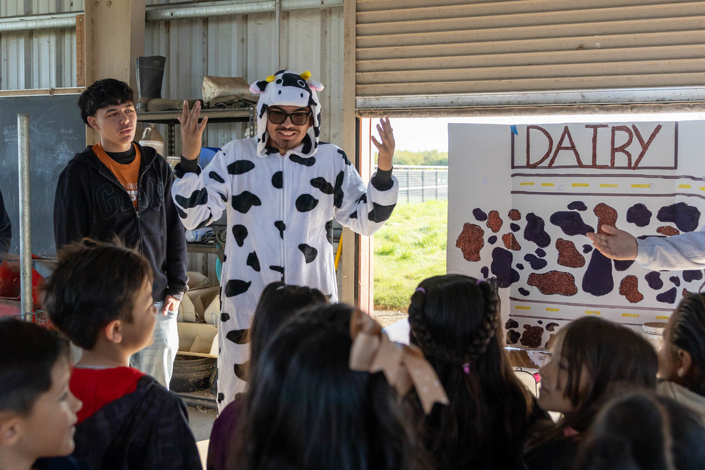 students dressed as a cow