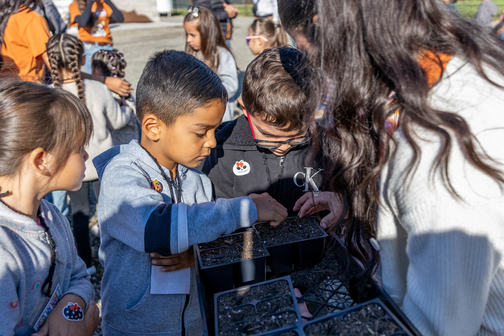 students planting seeds