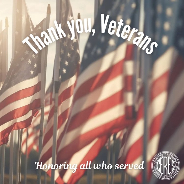 U.S. flags, text reads Thank you, Veterans