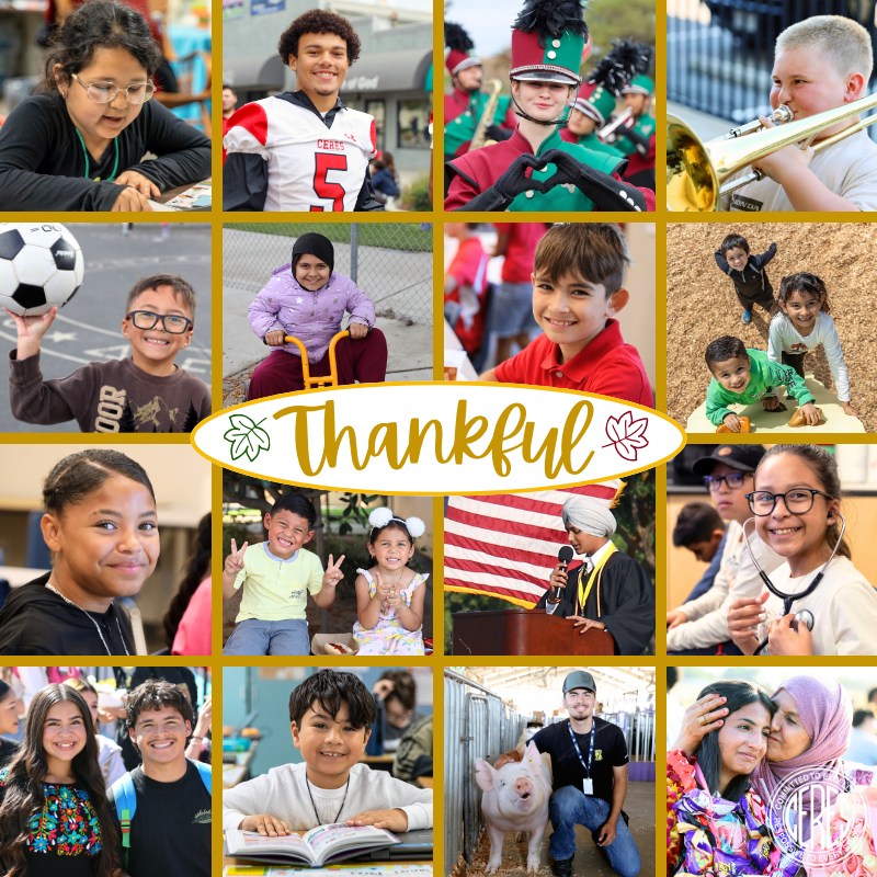 Collage of smiling students