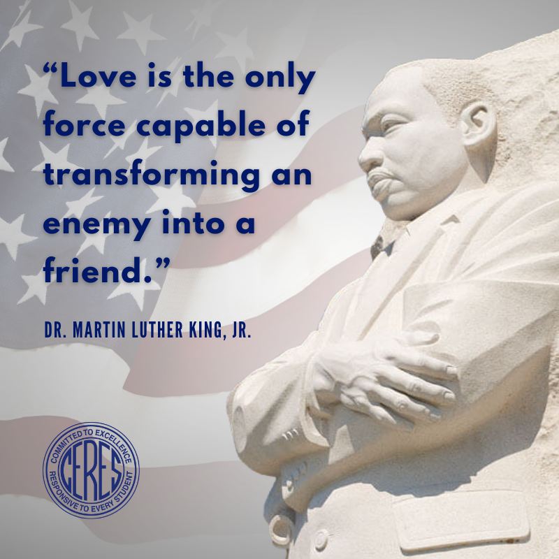 Love is the only force capable of transforming an enemy into a friend