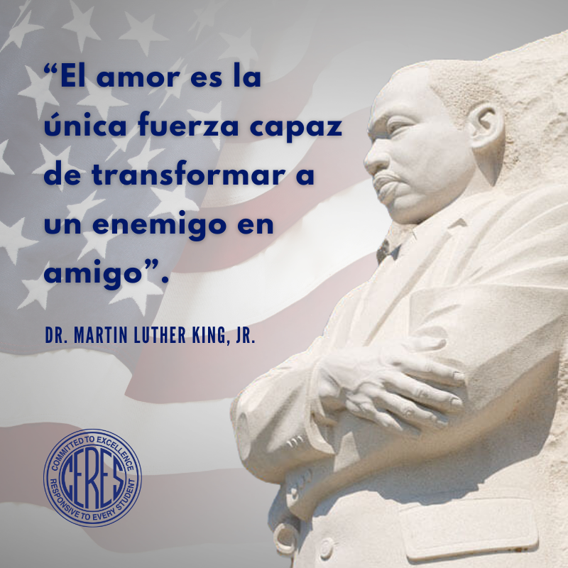 El amor es la unica fuerza capaz de transformar a un enemigo en amigo