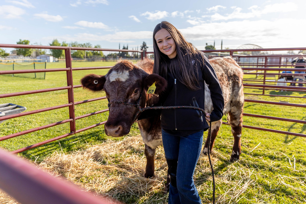 Student with a cow