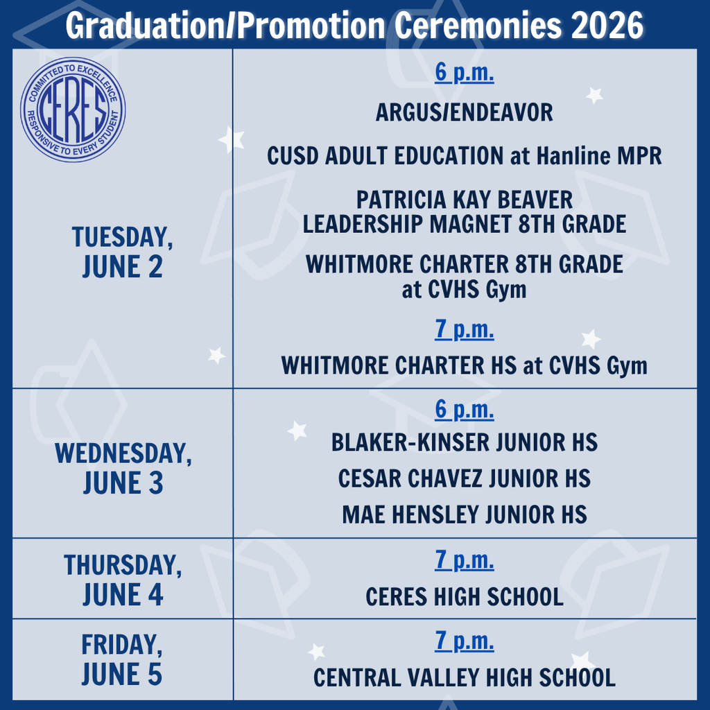 Graphic of schedule shown in caption