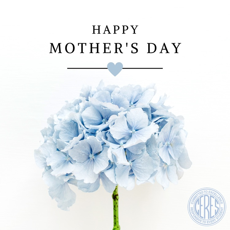 blue hydrangea happy Mother's Day