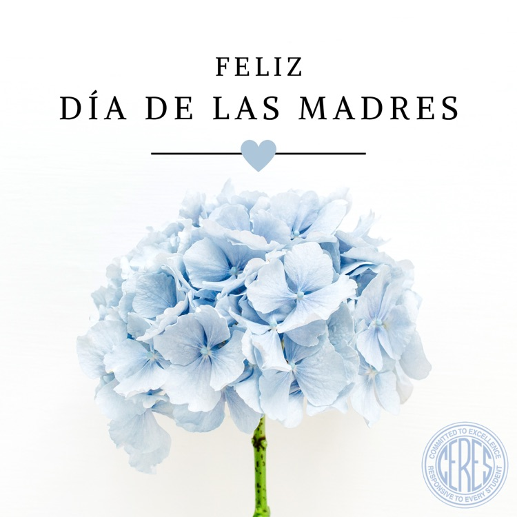 blue hydrangea Feliz dia de las madres