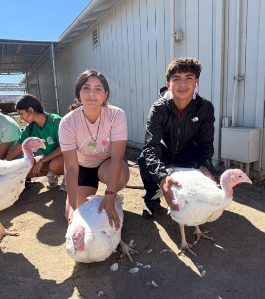 students with turkey