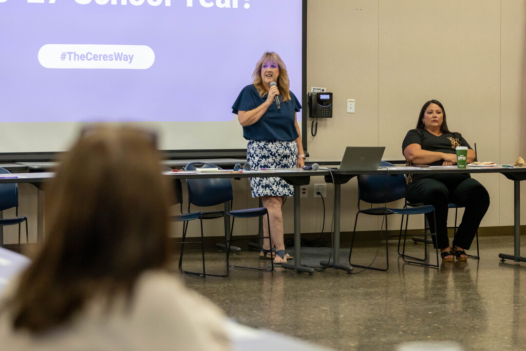 woman talking to a room of people