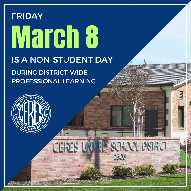 March 8 non-student day