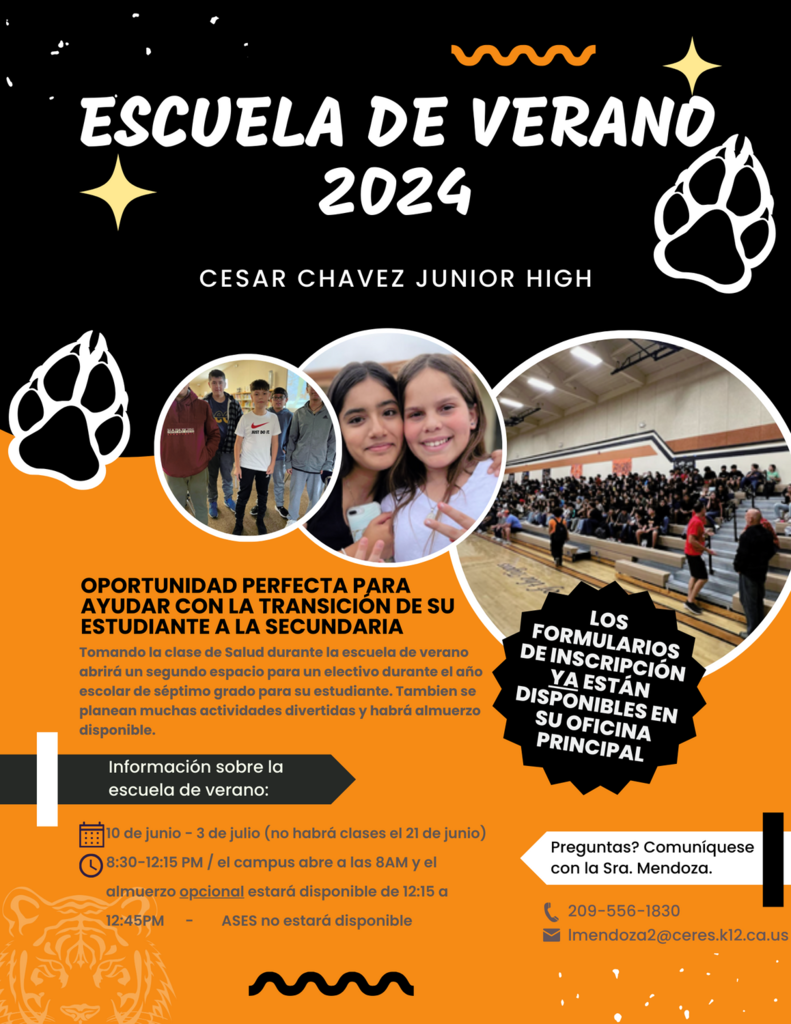 Escuela de Verano