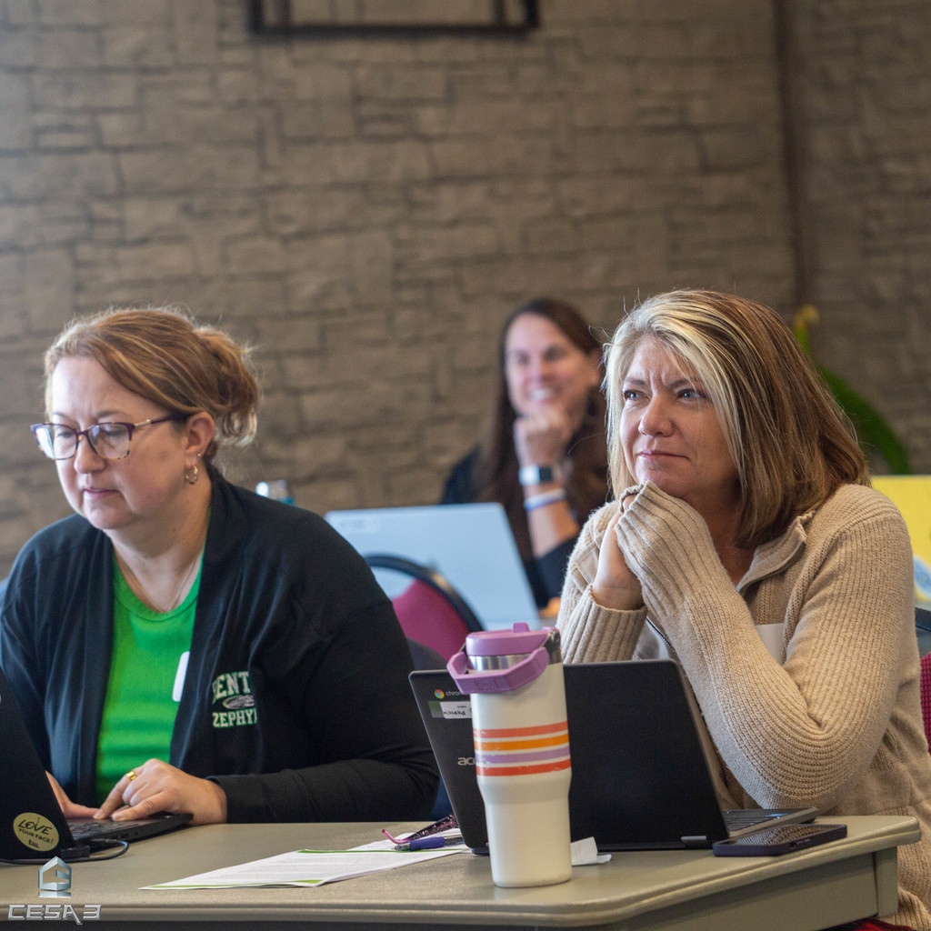 Images of educators who attended CESA 3's Decoding the Wisconsin Forward Exam workshop.