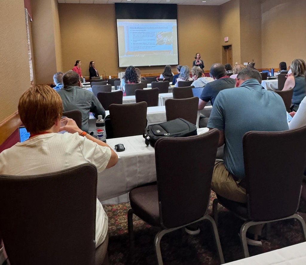 Brooke Holbrook presenting at a workshop.