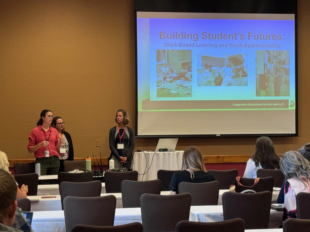 Brooke Holbrook presenting at a workshop.