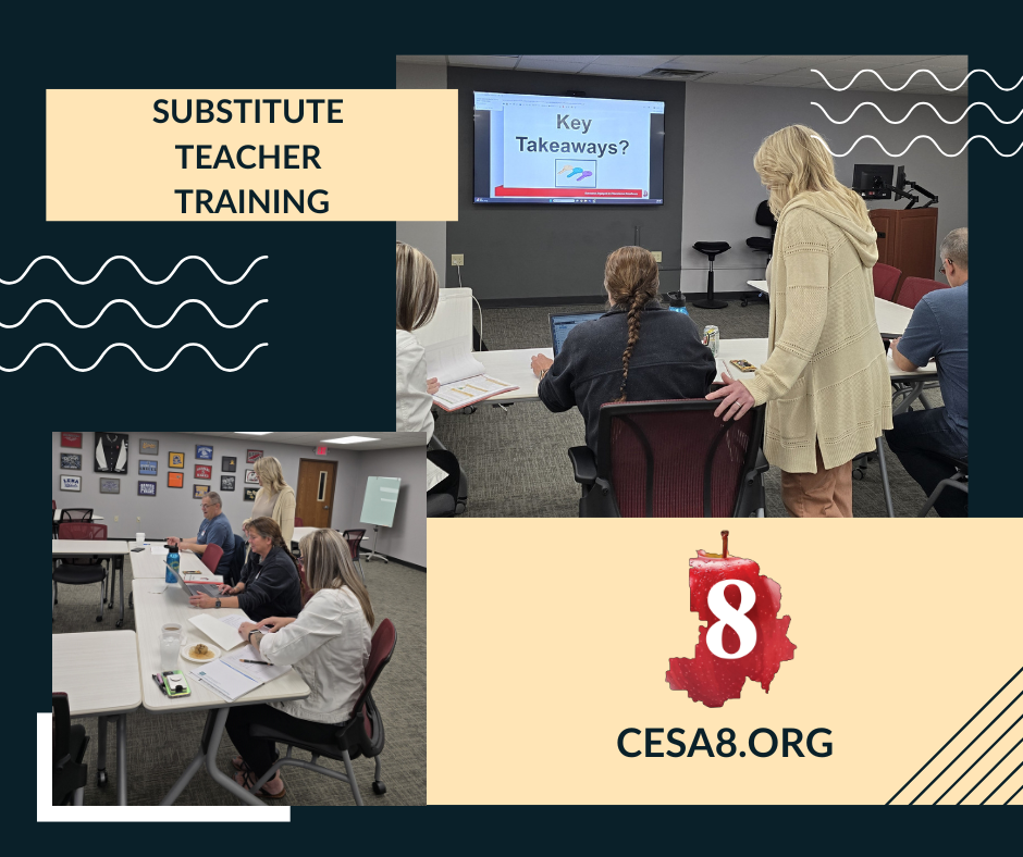 Terry Schultz providing sub teacher training.