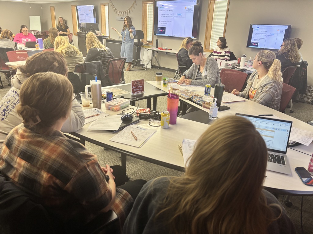 Elementary teacher networking small group work at CESA 8.