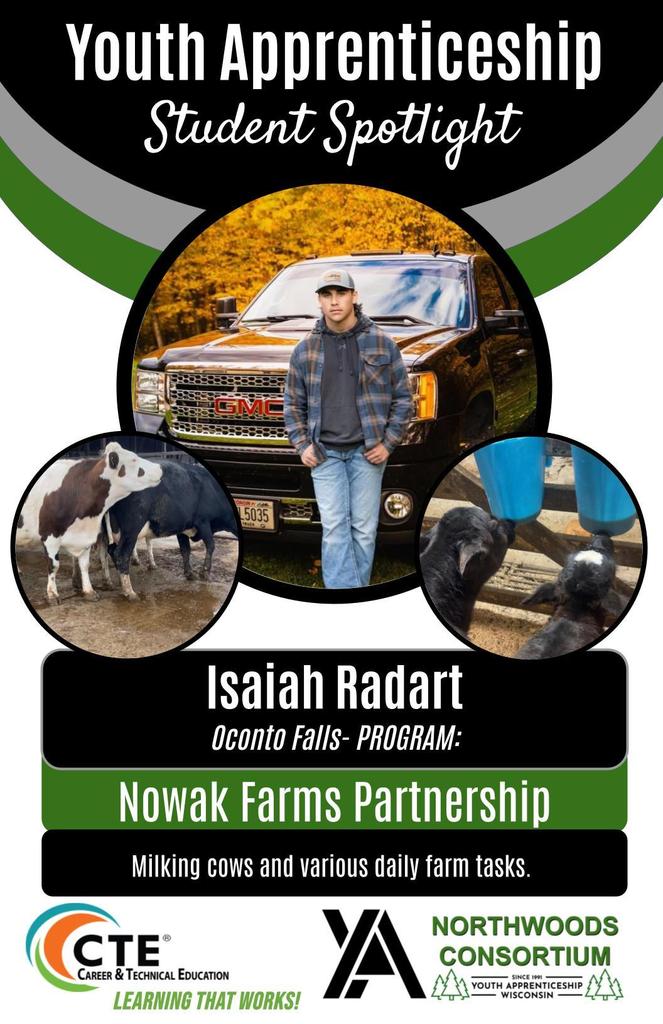 youth apprenticeship 