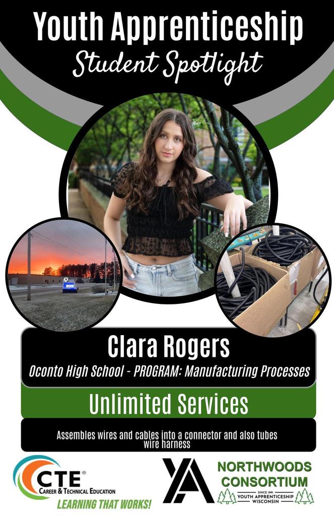 Youth apprenticeship