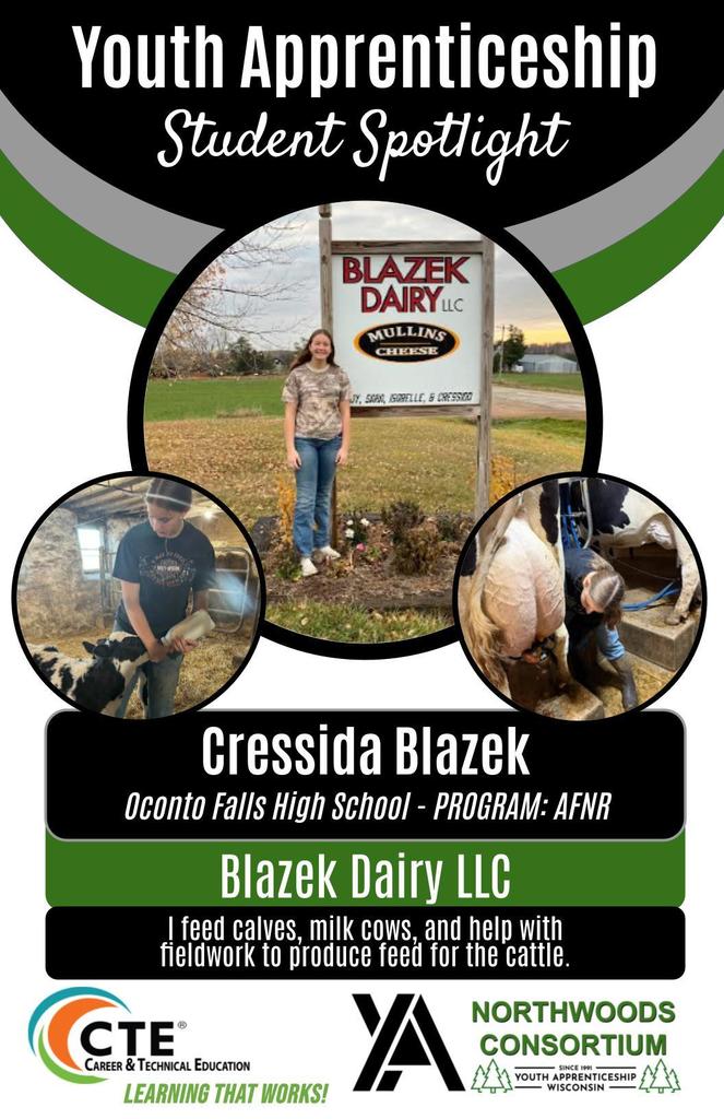 Youth apprenticeship