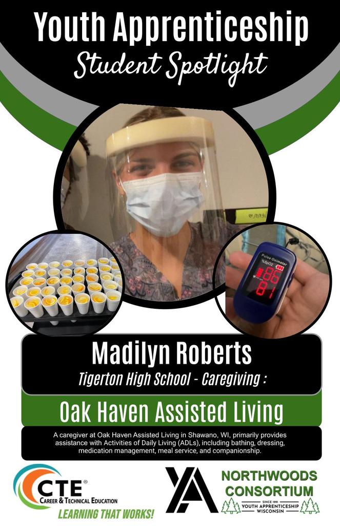 youth apprenticeship 