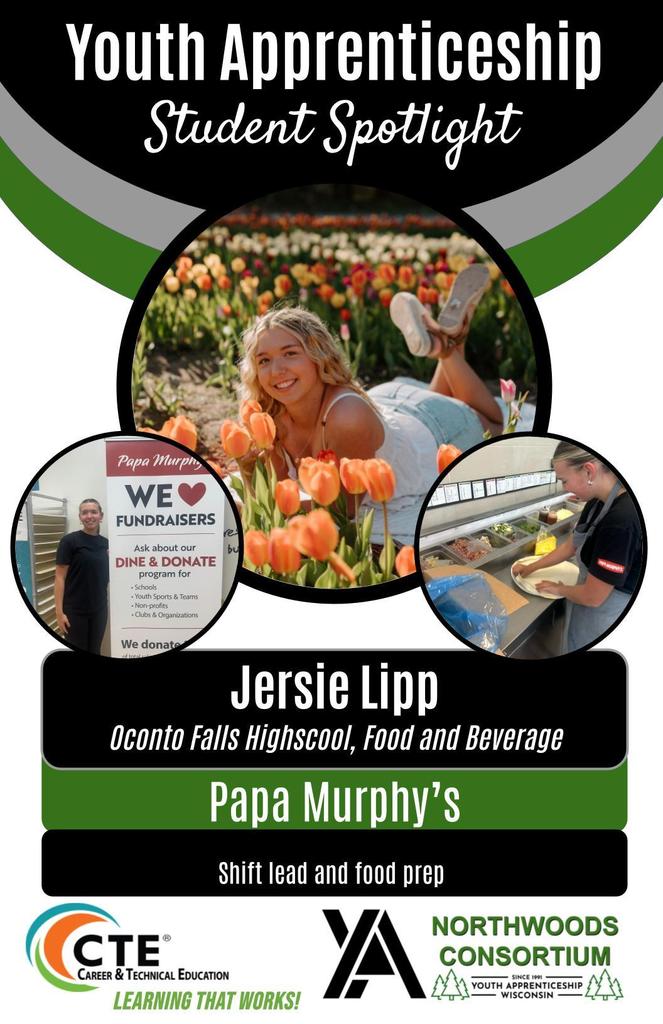 Youth apprenticeship