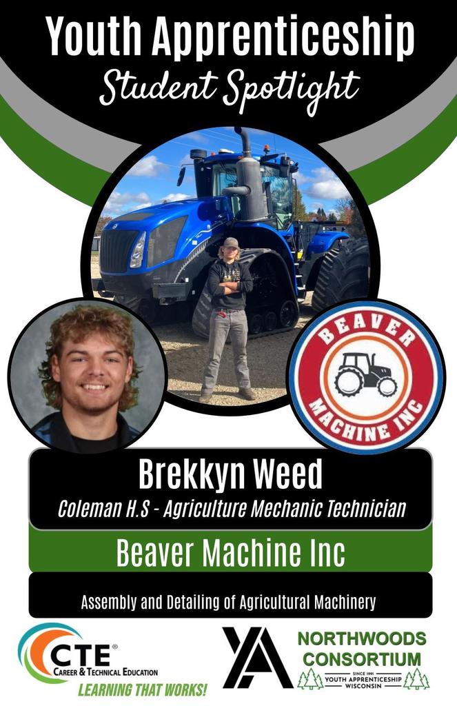 Youth apprenticeship