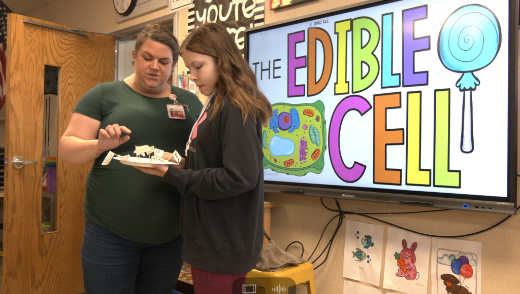 Wausaukee students engaged in classroom activity