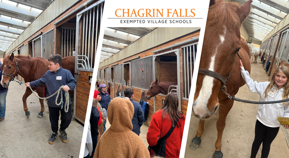 club connect jr visiting Step in with Horses
