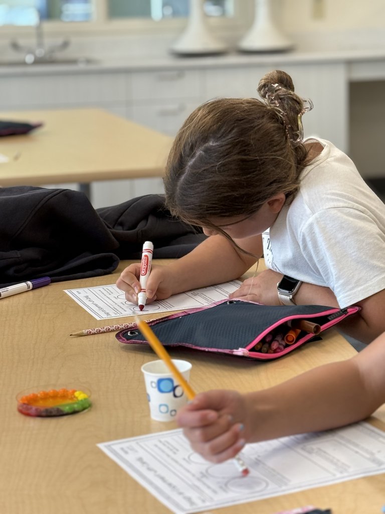 4th grade scientists observe and record skittles interacting with water in the CFIS Science lab.