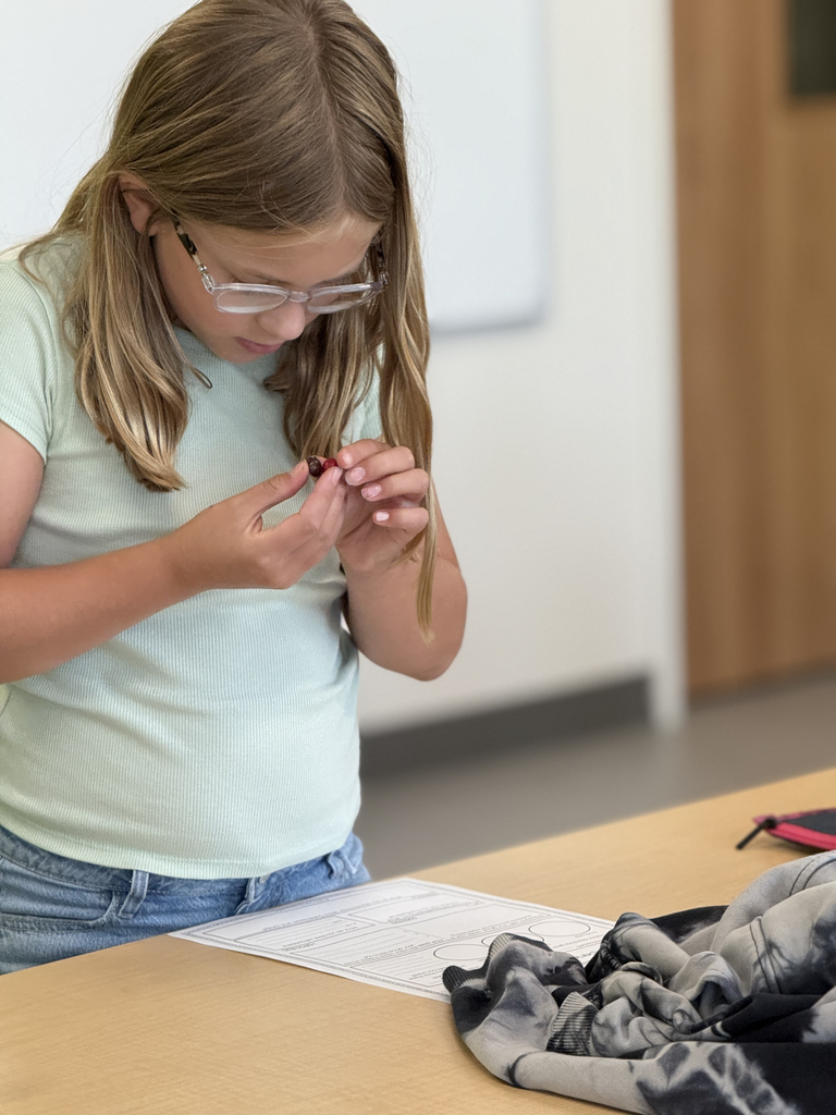 4th grade scientists observe and record skittles interacting with water in the CFIS Science lab.
