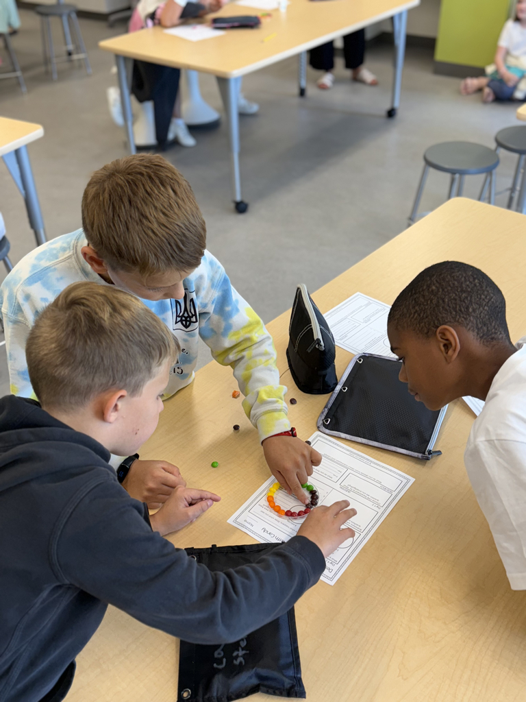 4th grade scientists observe and record skittles interacting with water in the CFIS Science lab.