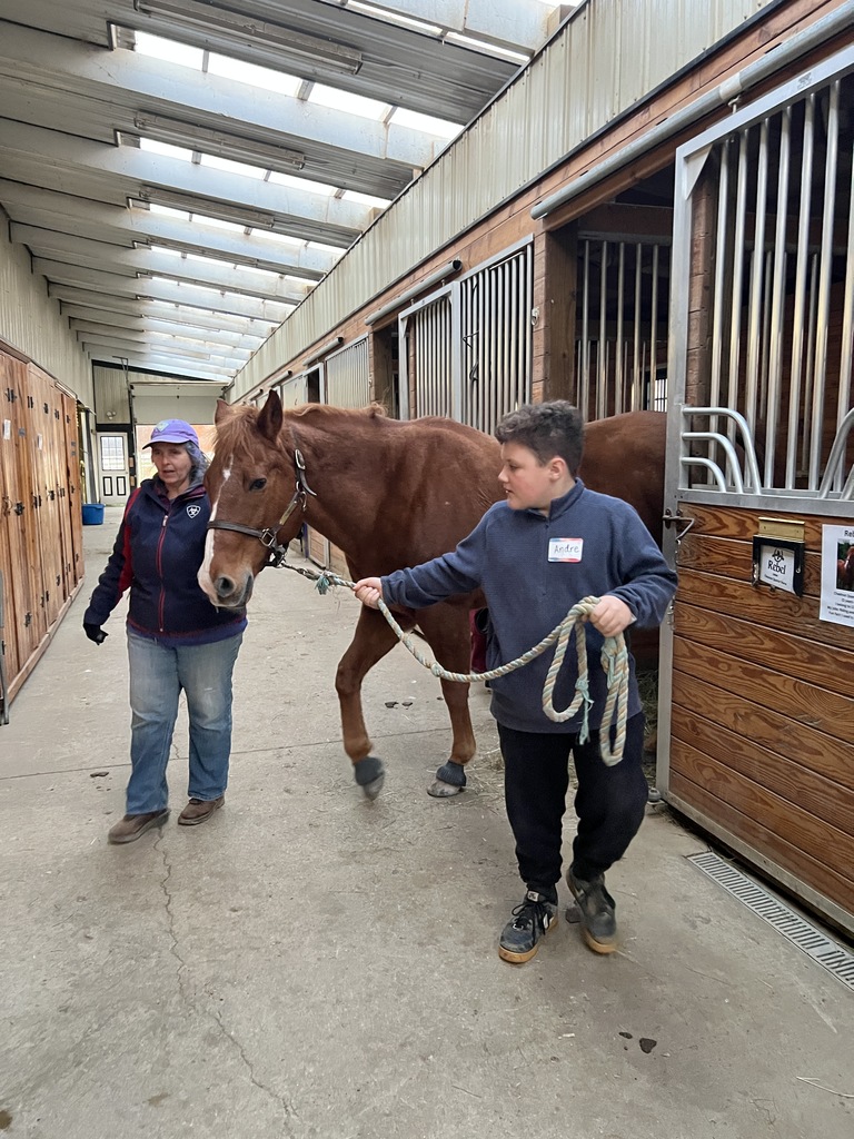 club connect jr visiting Step in with Horses